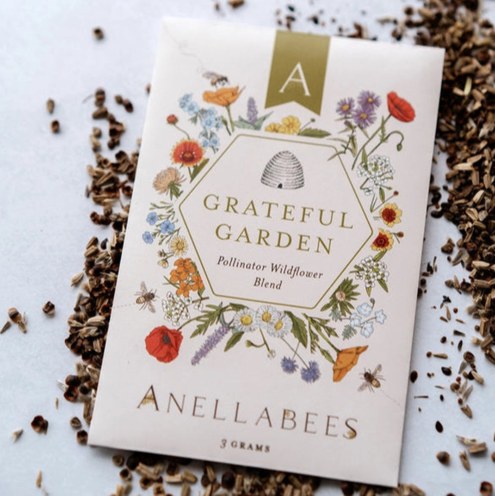 Pollinator Wildflower Seed Blend