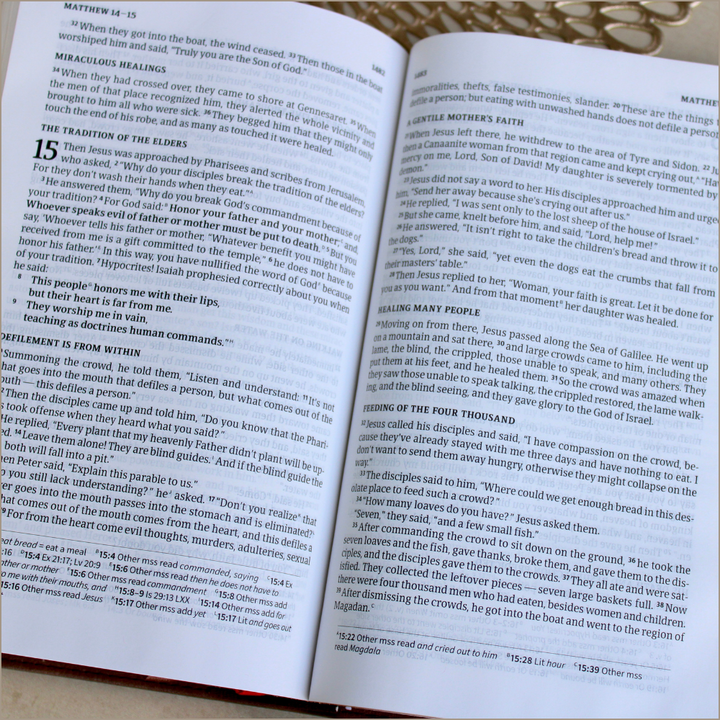 Custom CSB Compact Bible